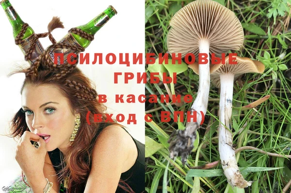 PSILOCYBIN Приозерск
