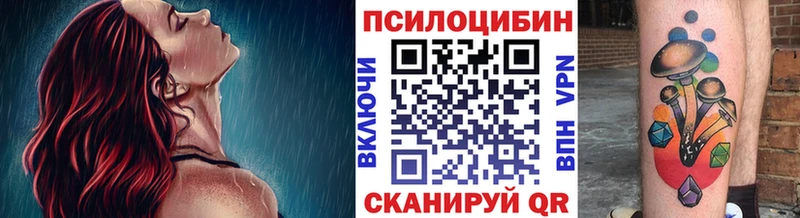 купить закладку  Берёзовский  Галлюциногенные грибы ЛСД 